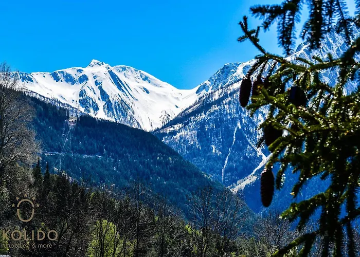 Independent, Daire Termen